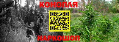 ALPHA PVP Моздок