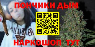 Альфа ПВП Можга