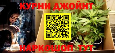 Альфа ПВП Можга