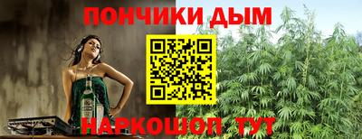 Альфа ПВП Можга