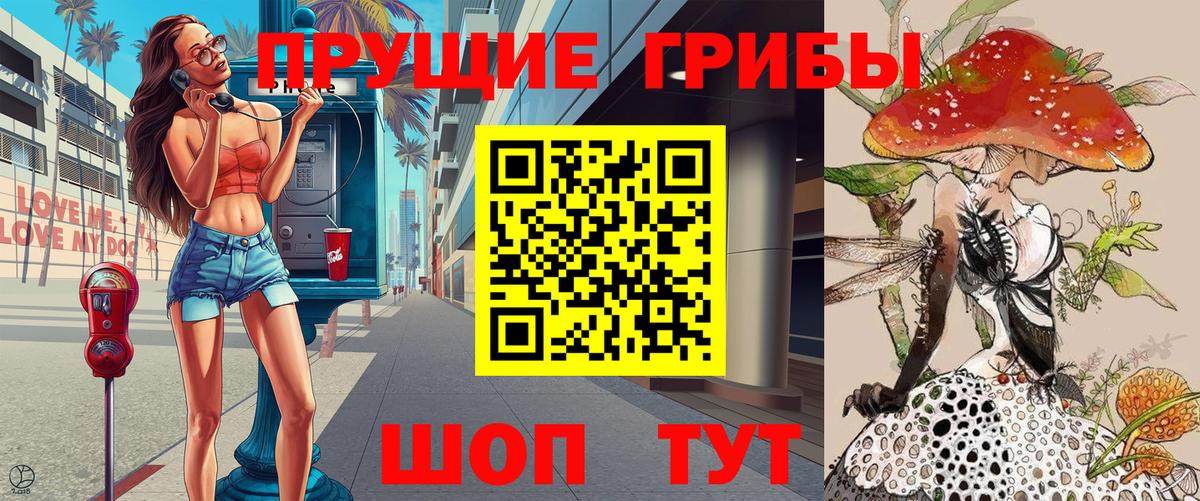 сколько стоит  Псилоцибиновые грибы Psilocybine cubensis  Вход с VPN  Сертолово 